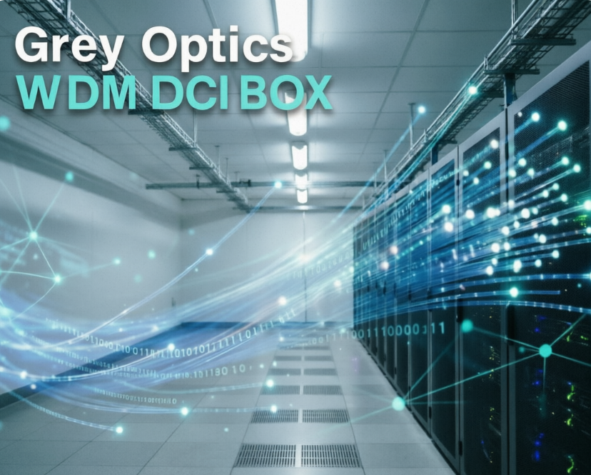 光纤资源告急？从灰光直连到 DCI BOX 的架构演进之路